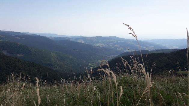 Panorama vosgien