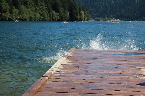 Lac vosgien — ressourcement